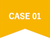 CASE 01